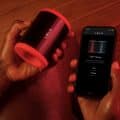 lelo male kegels