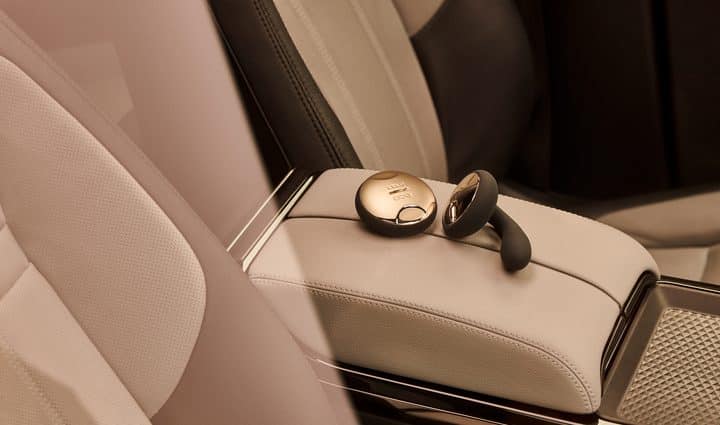 lelo ida vibrator