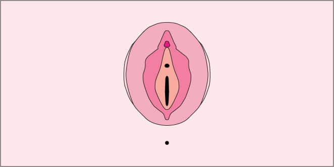 The Anatomy of the Hooha