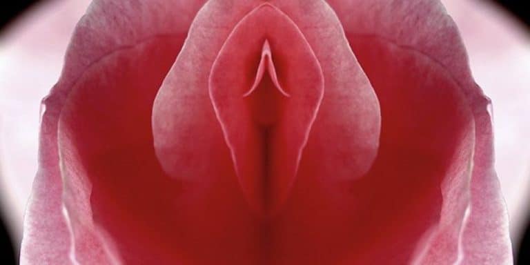 Sexo