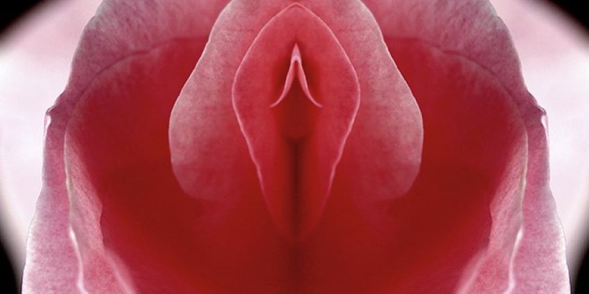 El ocaso de la pichula y el «Festival del clítoris» Sexo